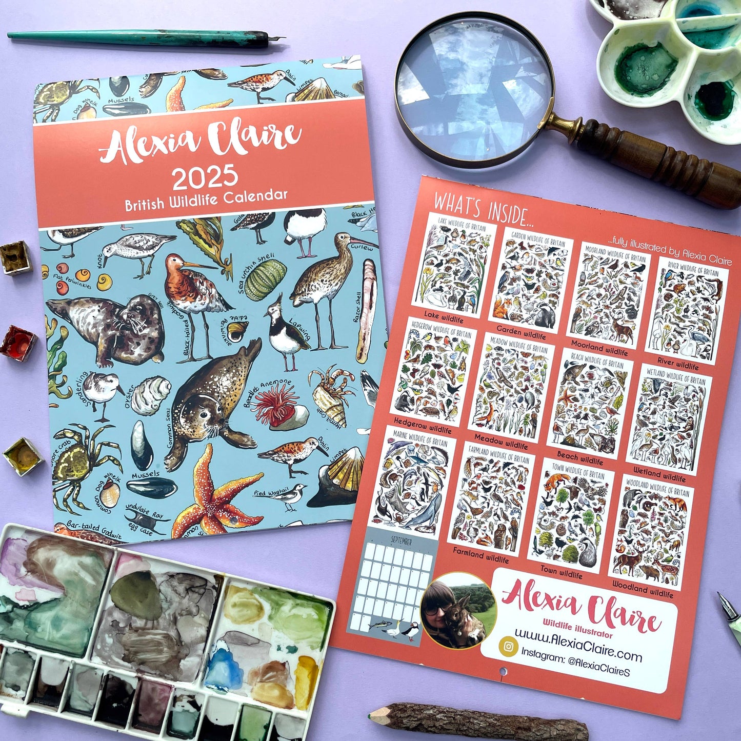 2025 British Wildlife Wall Calendar