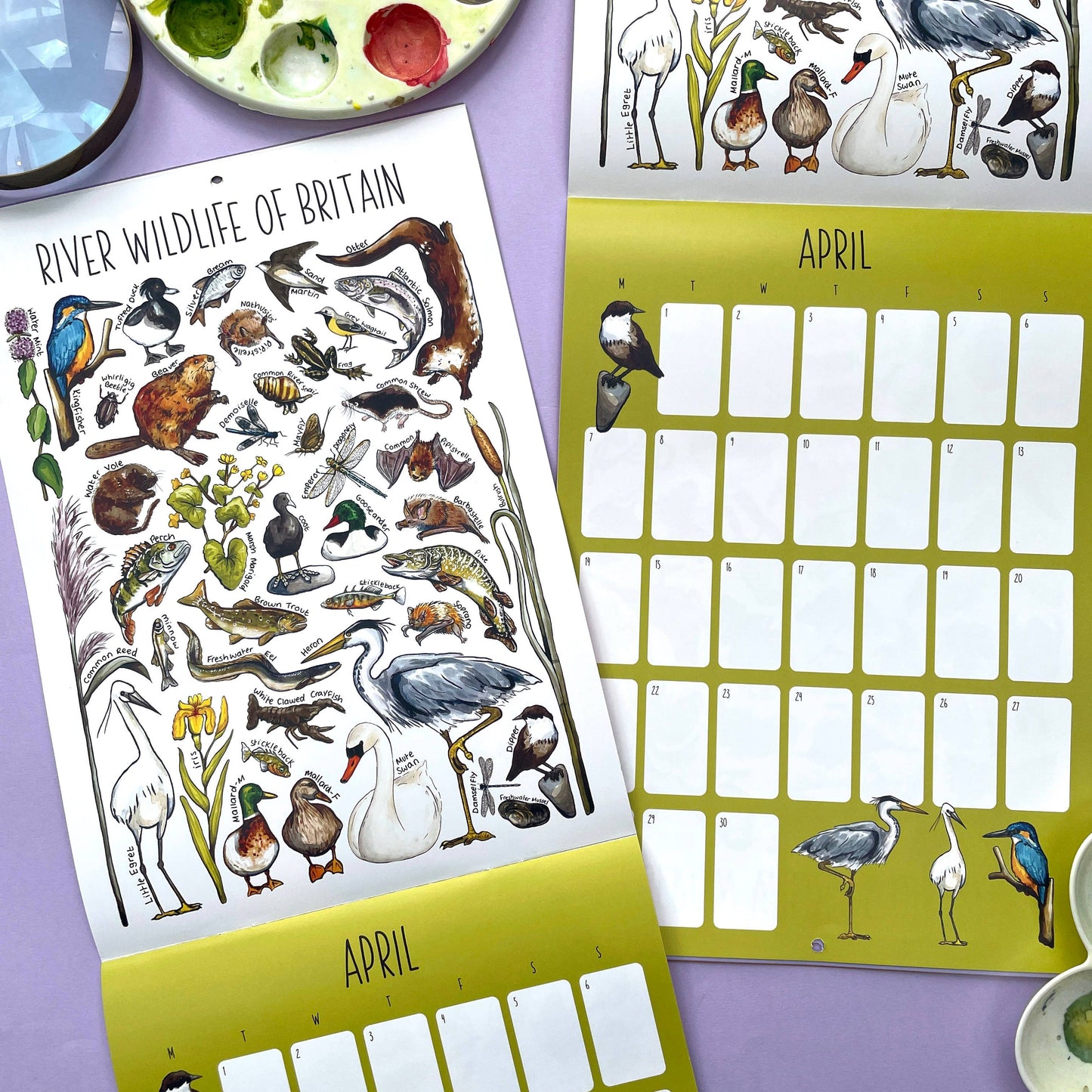 2025 British Wildlife Wall Calendar