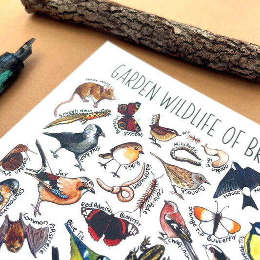 'Garden Wildlife of Britain' Blank Postcard