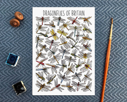 'Dragonflies of Britain' Blank Postcard