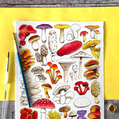 'Mushrooms of Britain' Blank Postcard