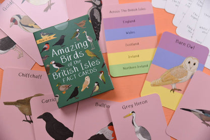 Amazing Birds of the British Isles Fact Cards