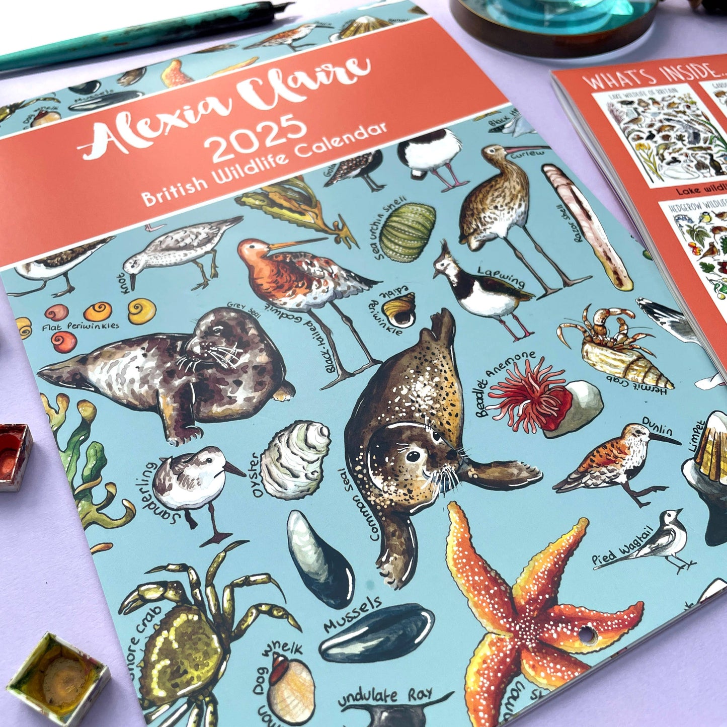 2025 British Wildlife Wall Calendar