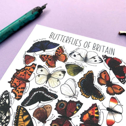 'Butterflies of Britain' Blank Postcard