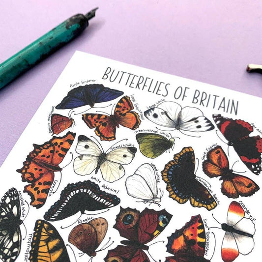 'Butterflies of Britain' Blank Postcard