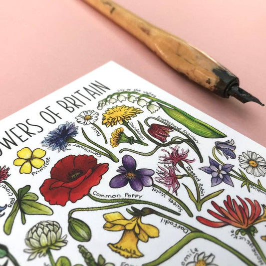 'Wildflowers of Britain' Blank Postcard