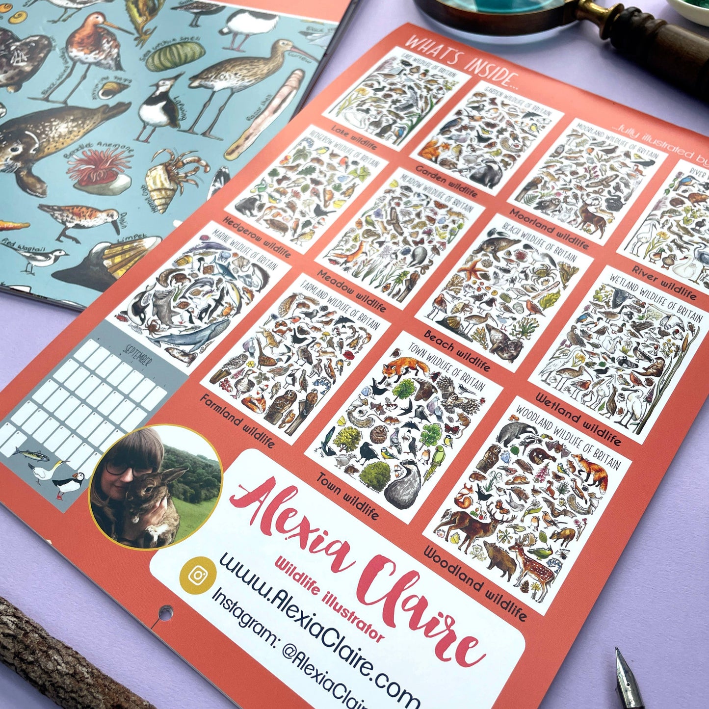 2025 British Wildlife Wall Calendar