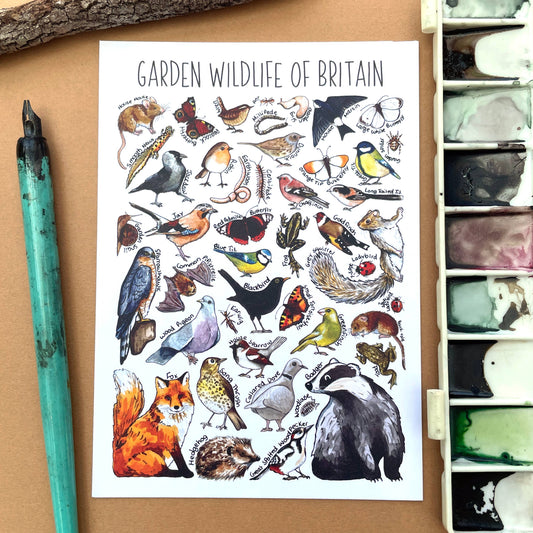 'Garden Wildlife of Britain' Blank Postcard