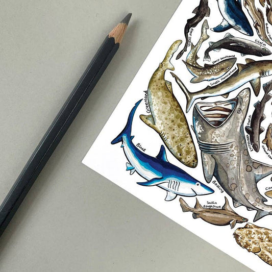 'Sharks of Britain' Blank Postcard