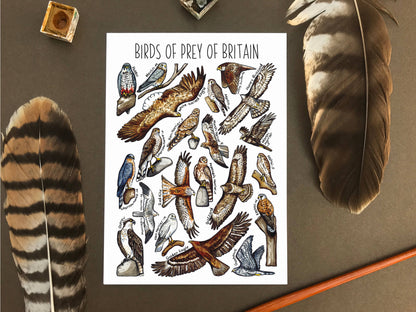 'Birds of Prey of Britain' Blank Postcard