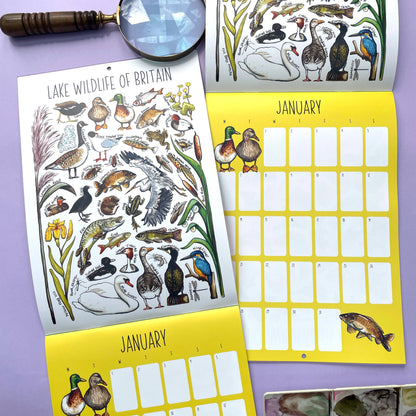 2025 British Wildlife Wall Calendar