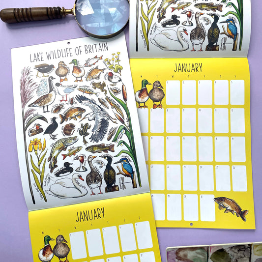 2025 British Wildlife Wall Calendar