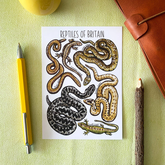 'Reptiles of Britain' Blank Postcard