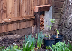 Hole in fence for a hedgehog