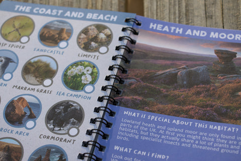 Scavenger quest pages