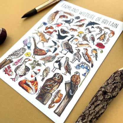 'Farmland Wildlife of Britain' Blank Postcard
