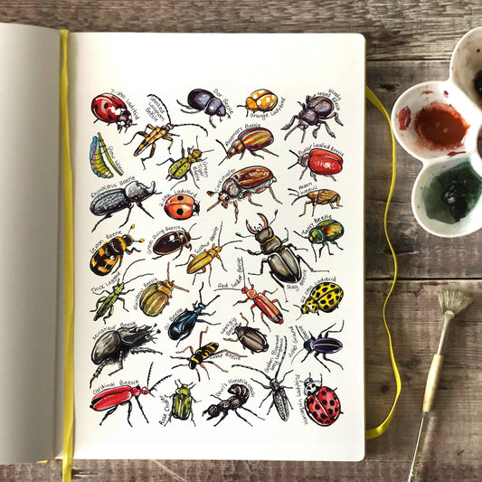 'Beetles of Britain' Blank Postcard