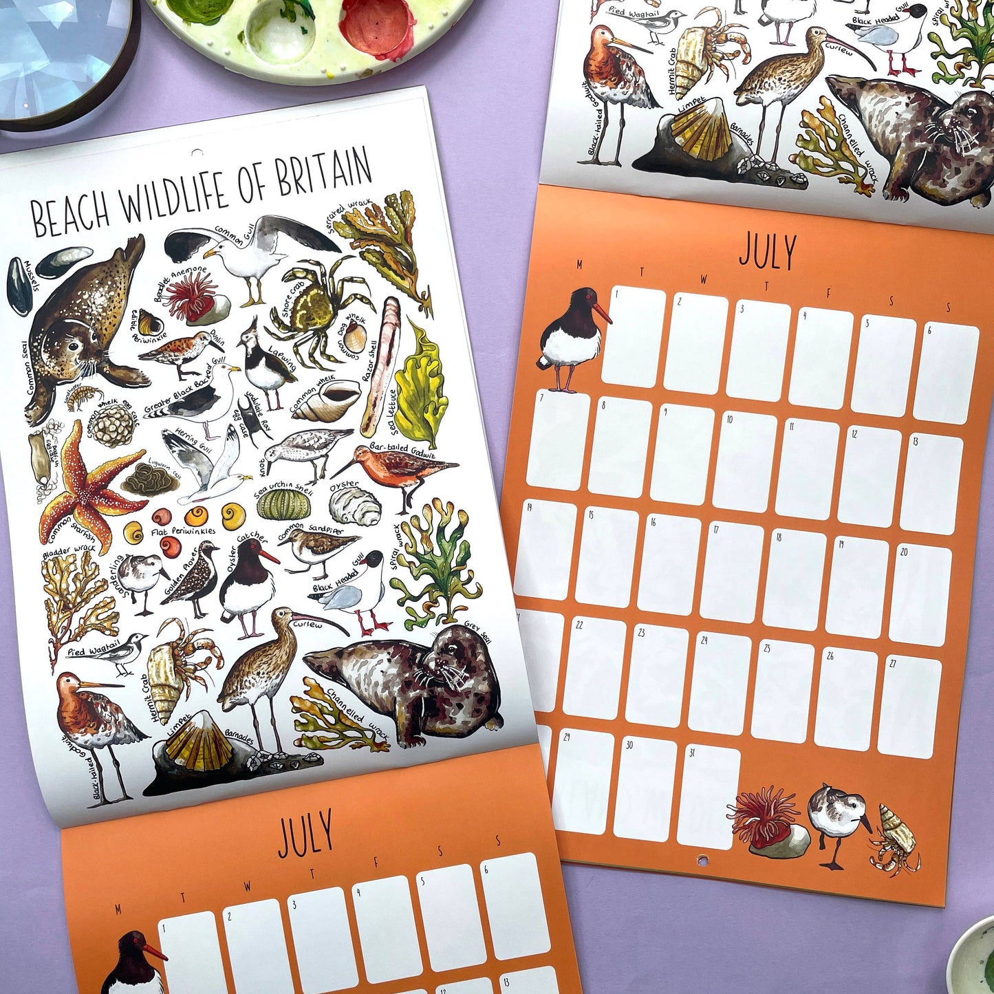 2025 British Wildlife Wall Calendar