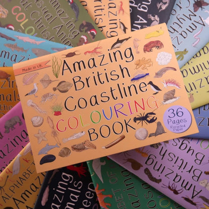 Amazing British Coastline Colouring Book