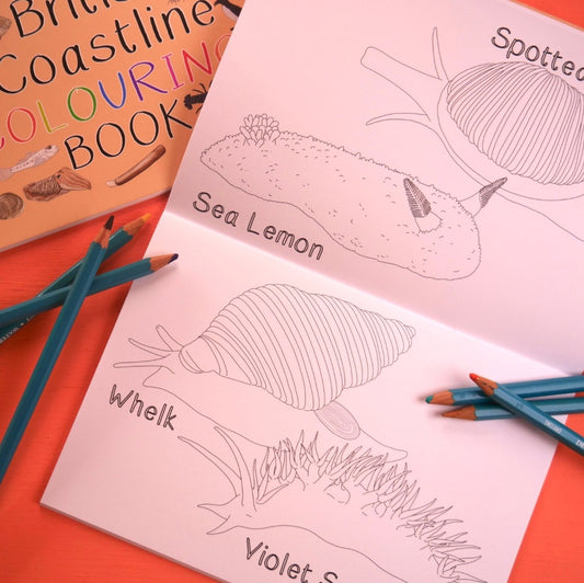 Amazing British Coastline Colouring Book