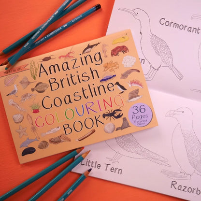 Amazing British Coastline Colouring Book