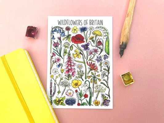 'Wildflowers of Britain' Blank Postcard