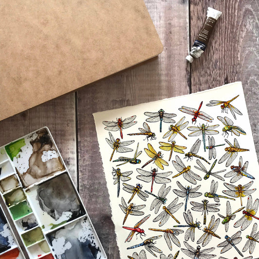 'Dragonflies of Britain' Blank Postcard